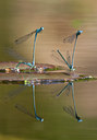 BUITEN BEELD Foto: 57048
