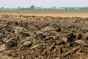 BUITEN BEELD Foto: 57053