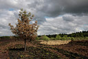 BUITEN BEELD Foto: 57060