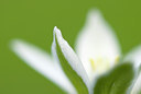BUITEN BEELD Foto: 57068