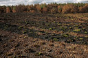 BUITEN BEELD Foto: 57077