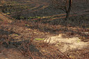 BUITEN BEELD Foto: 57081
