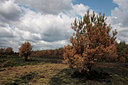 BUITEN BEELD Foto: 57091