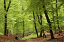BUITEN BEELD Foto: 57098