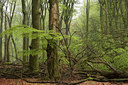BUITEN BEELD Foto: 57100