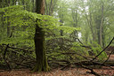 BUITEN BEELD Foto: 57101