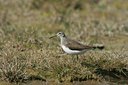 BUITEN BEELD Foto: 57127