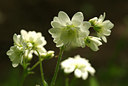 BUITEN BEELD Foto: 57140