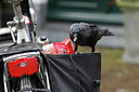 BUITEN BEELD Foto: 57145