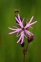 BUITEN BEELD Foto: 57159