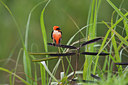 BUITEN BEELD Foto: 57202