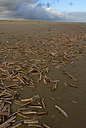 BUITEN BEELD Foto: 57242
