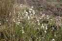 BUITEN BEELD Foto: 57277