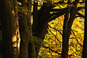 BUITEN BEELD Foto: 57291
