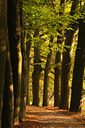 BUITEN BEELD Foto: 57296