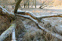 BUITEN BEELD Foto: 57314
