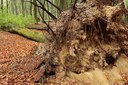 BUITEN BEELD Foto: 57331