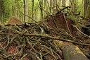 BUITEN BEELD Foto: 57336