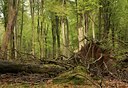 BUITEN BEELD Foto: 57338