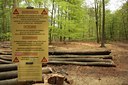 BUITEN BEELD Foto: 57341