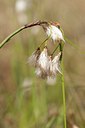 BUITEN BEELD Foto: 57344