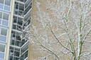BUITEN BEELD Foto: 57385