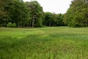 BUITEN BEELD Foto: 57410