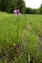 BUITEN BEELD Foto: 57412
