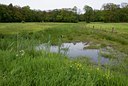 BUITEN BEELD Foto: 57415