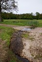 BUITEN BEELD Foto: 57425