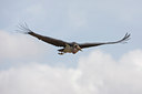 BUITEN BEELD Foto: 57442