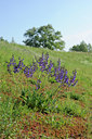 BUITEN BEELD Foto: 57447