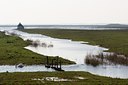BUITEN BEELD Foto: 57481