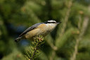 BUITEN BEELD Foto: 57491