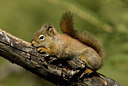 BUITEN BEELD Foto: 57495