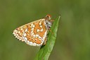 BUITEN BEELD Foto: 57504