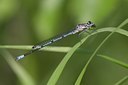 BUITEN BEELD Foto: 57522