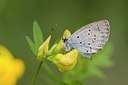 BUITEN BEELD Foto: 57546