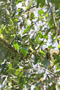 BUITEN BEELD Foto: 57560