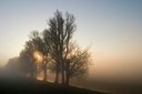 BUITEN BEELD Foto: 57564