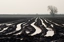 BUITEN BEELD Foto: 57593