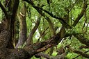 BUITEN BEELD Foto: 57604