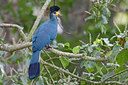 BUITEN BEELD Foto: 57620