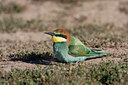 BUITEN BEELD Foto: 57643