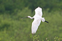 BUITEN BEELD Foto: 57646