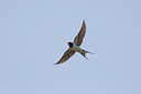 BUITEN BEELD Foto: 57648