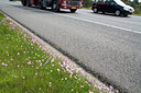 BUITEN BEELD Foto: 57679