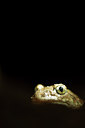 BUITEN BEELD Foto: 57722