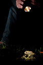 BUITEN BEELD Foto: 57724