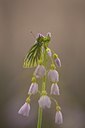 BUITEN BEELD Foto: 57735